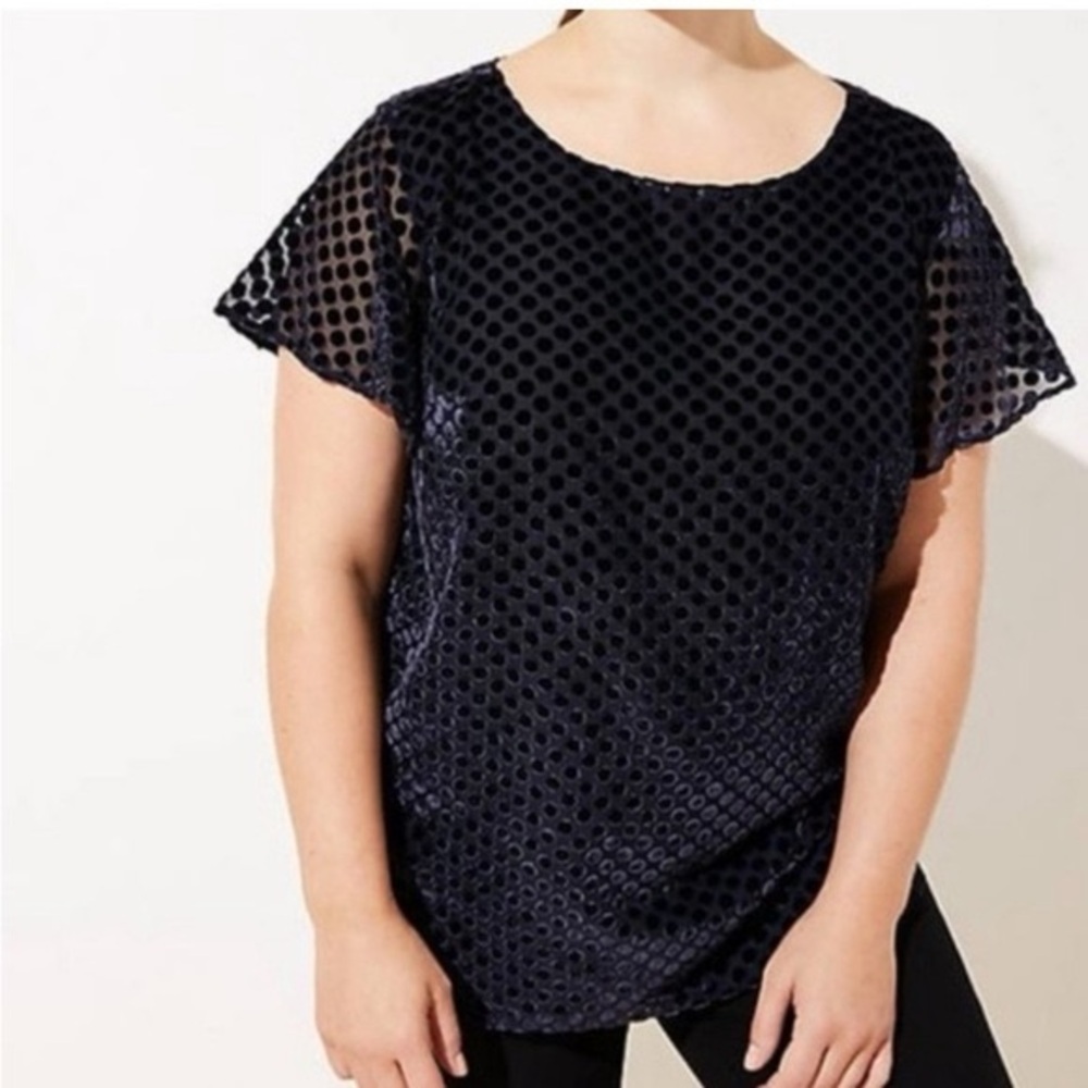 (A4) LOFT Navy Velvet Dot Flared Sleeve Top Blouse‎ Size M Sheer Polka Dot